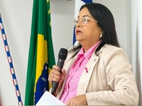 Câmara aprova Indicação da vereadora Noelia de Damião ao Executivo para implantação do Programa Jovem Aprendiz aos alunos do 9º ano em Maracás